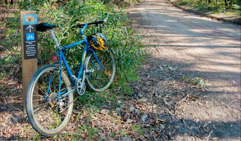 Walter Hood Ride From Cudmirrah - Tweed Heads Accommodation 0