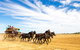 7 Day Outback Giants - thumb 0
