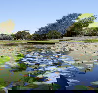 Anderson Park Botanic Gardens - Tweed Heads Accommodation
