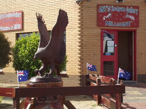 Ant's Redgum Gallery - Tweed Heads Accommodation 0