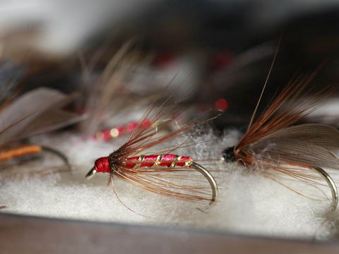 Australian Fly Fishing Museum - Tweed Heads Accommodation 0