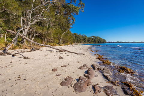 Barfleur Beach - Tweed Heads Accommodation 0