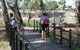 Bidgee Riverside Trail  - Hay Nature Walk - thumb 0