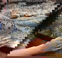 Canberra Reptile Zoo - Tweed Heads Accommodation