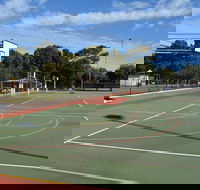 Cleve Sporting Facilities - Tweed Heads Accommodation
