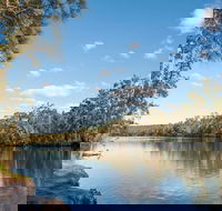 Corramy Regional Park - Tweed Heads Accommodation