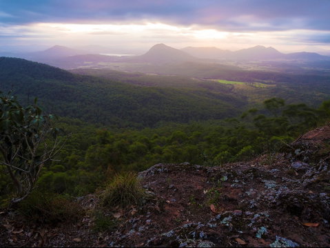 Cunninghams Gap And Spicers Gap, Main Range National Park - Tweed Heads Accommodation 0