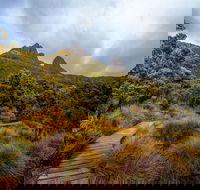 Dove Lake - Tweed Heads Accommodation