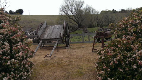 Early Settlers Hut - Tweed Heads Accommodation 2