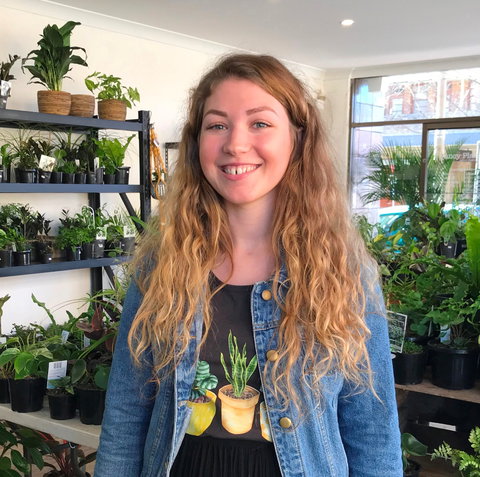 Fancy Plants - Tweed Heads Accommodation 2