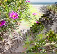 Fort Bribie - Tweed Heads Accommodation