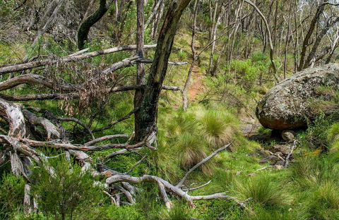 Hopetoun Falls Walking Track - Tweed Heads Accommodation 0