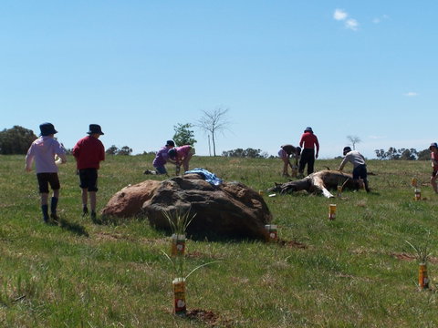 Jim Salmon  Wetland Education Site - Tweed Heads Accommodation 0