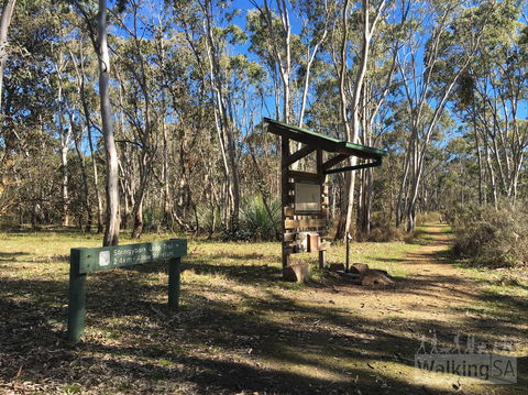 Kaiserstuhl Conservation Park - Tweed Heads Accommodation 0