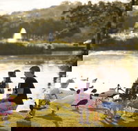 Lake Alford Recreational Park - Tweed Heads Accommodation