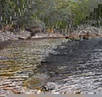 Lake Rowallan - Tweed Heads Accommodation