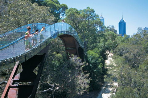 Law Walk - Kings Park - Tweed Heads Accommodation 0