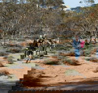 Mallee Stop walking track - Tweed Heads Accommodation