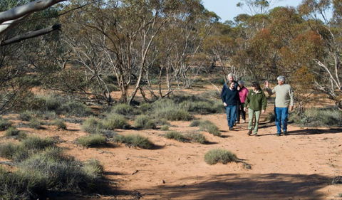 Mallee Stop Walking Track - Tweed Heads Accommodation 0