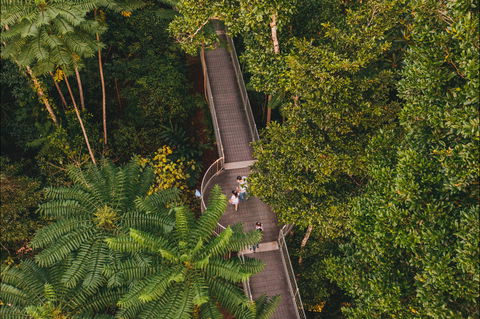 Mamu Tropical Skywalk - Tweed Heads Accommodation 2