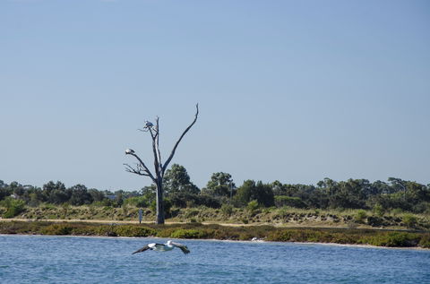 Mandurah Estuary And Peel Inlet - Tweed Heads Accommodation 1