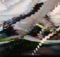 Marrawuddi Gallery - Tweed Heads Accommodation