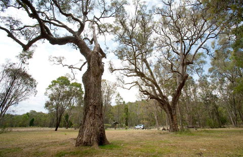 Moolarben Picnic Area - Tweed Heads Accommodation 0