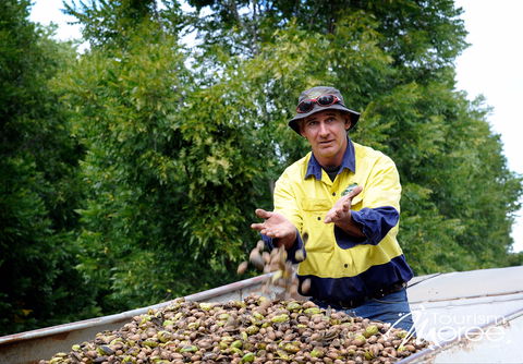 Moree - Tweed Heads Accommodation 2