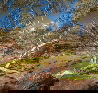 Mount Grenfell Historic Site - Tweed Heads Accommodation