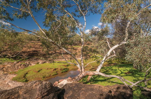 Mount Grenfell Historic Site - Tweed Heads Accommodation 0