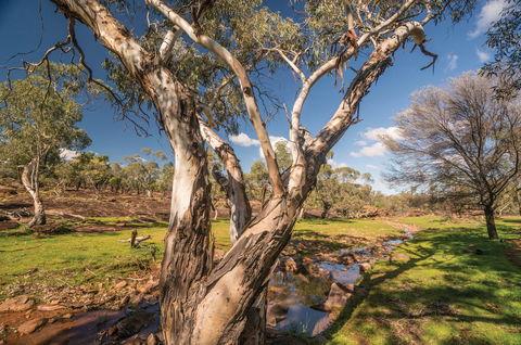 Mount Grenfell Historic Site - Tweed Heads Accommodation 2