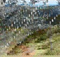 Mount Towac Walk - Tweed Heads Accommodation