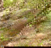Mount Carnarvon Walking Track - Tweed Heads Accommodation