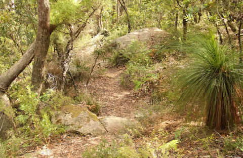 Mount Carnarvon Walking Track - Tweed Heads Accommodation 0