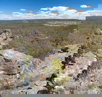 Munghorn Gap Nature Reserve - Tweed Heads Accommodation