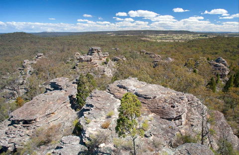 Munghorn Gap Nature Reserve - Tweed Heads Accommodation 0