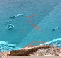 Nullarbor National Park - Tweed Heads Accommodation