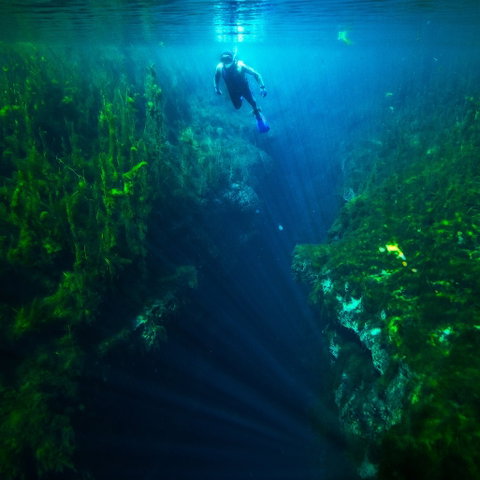 Piccaninnie Ponds Conservation Park - Tweed Heads Accommodation 0