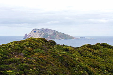 Point D'Entrecasteaux - Tweed Heads Accommodation 0