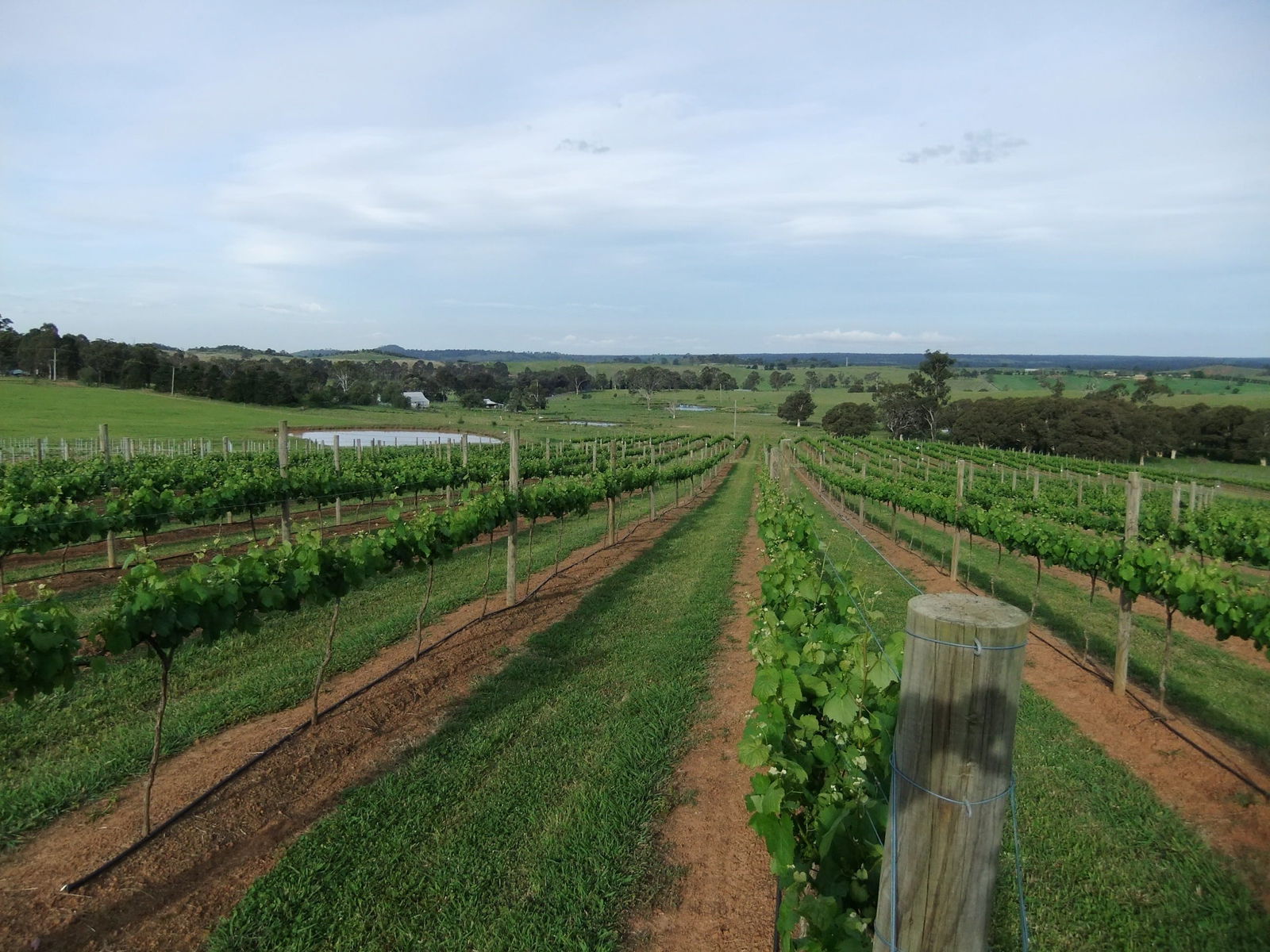 Razorback NSW Tweed Heads Accommodation