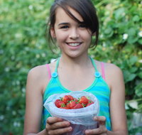 Ricardoes Tomatoes and Strawberries Farm Port Macquarie - Tweed Heads Accommodation