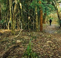 Sand track walk north - Tweed Heads Accommodation