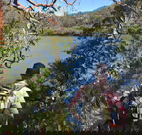 Sphinx Memorial to Bobbin Head Loop Track - Tweed Heads Accommodation