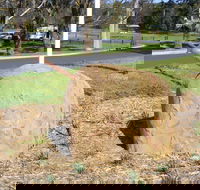 Stratford Historical Society and Museum - Tweed Heads Accommodation