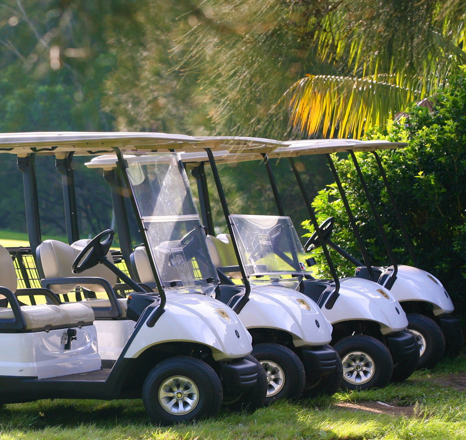 Russell Vale NSW Tweed Heads Accommodation
