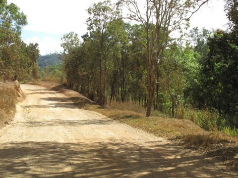The Bloomfield Track - Tweed Heads Accommodation 0