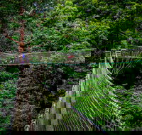 Thunderbird Park  - Tamborine Mountain Gold Coast Region - Tweed Heads Accommodation