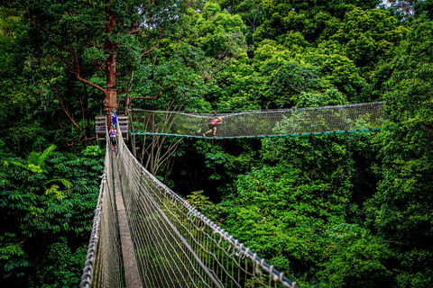 Thunderbird Park ® - Tamborine Mountain, Gold Coast Region - Tweed Heads Accommodation 0