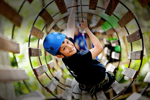 Thunderbird Park ® - Tamborine Mountain, Gold Coast Region - Tweed Heads Accommodation 1