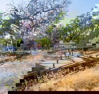 Timber Creek - Tweed Heads Accommodation